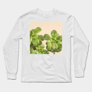 Pinwheel Long Sleeve T-Shirt